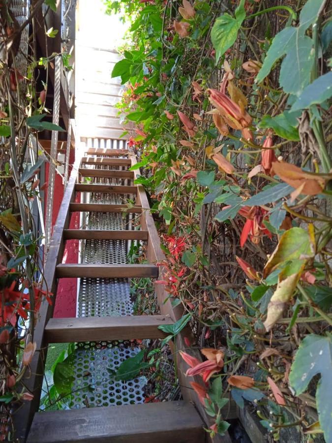 Le Ti Bali Chambre Hotel Saint-Leu Bagian luar foto